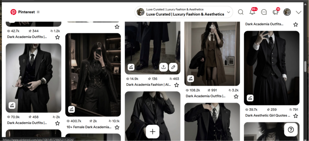 Pinterest dark academia fashion board dashboard screenshot